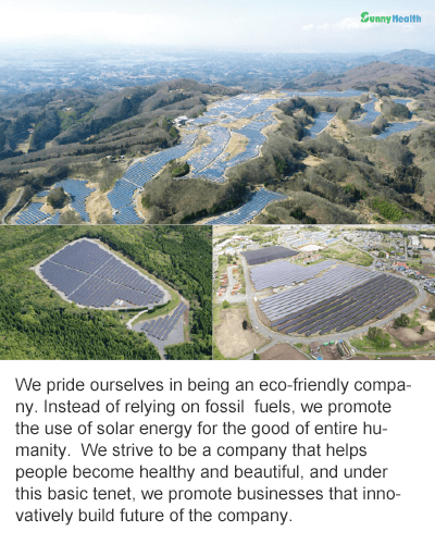 Solar Power Generation Business