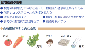 食物繊維の働き
